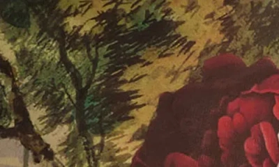 Alice And Olivia Delaina Printed Mesh Long Sleeve Crop Top In Animal Print