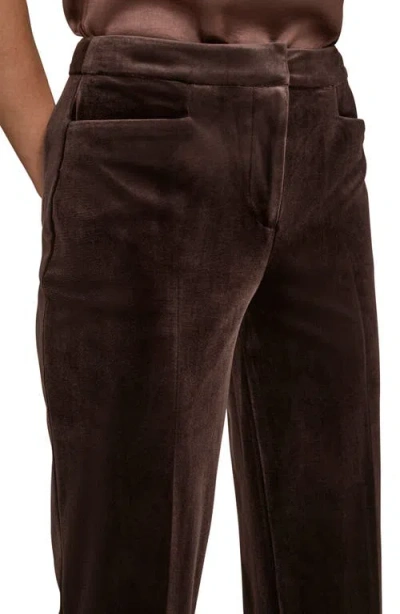 Donna Karan Women's Velvet Straight Leg Pants In Brown