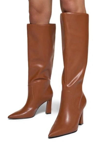 Aldo Nathalee Pointed Toe Knee High Boot In Brown