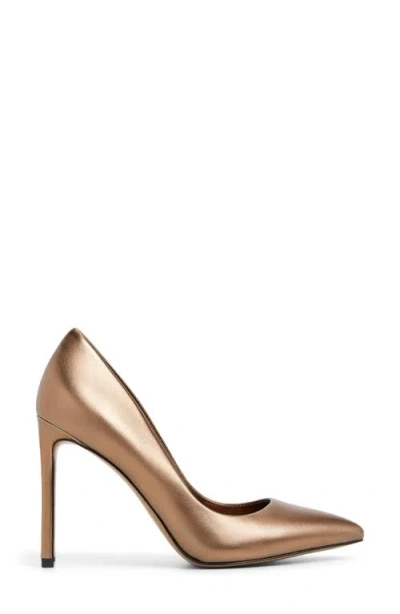 Aldo Women's Lala High-heel Stiletto Pumps In Brown