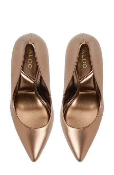 Aldo Women's Lala High-heel Stiletto Pumps In Brown