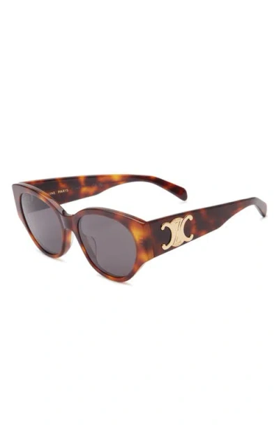 Celine Maxi Triomphe 55mm Butterfly Sunglasses In Brown