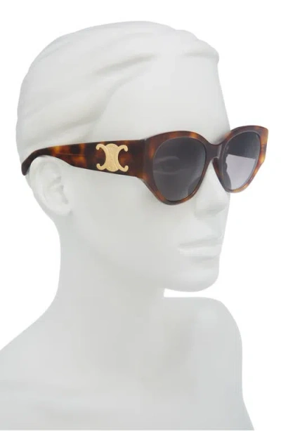 Celine Maxi Triomphe 55mm Butterfly Sunglasses In Brown