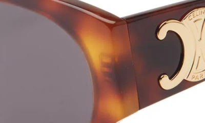 Celine Maxi Triomphe 55mm Butterfly Sunglasses In Brown