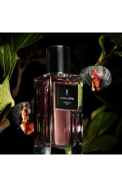 Saint Laurent Lavalliere Le Vestiaire Des Parfum Collection In Transparent