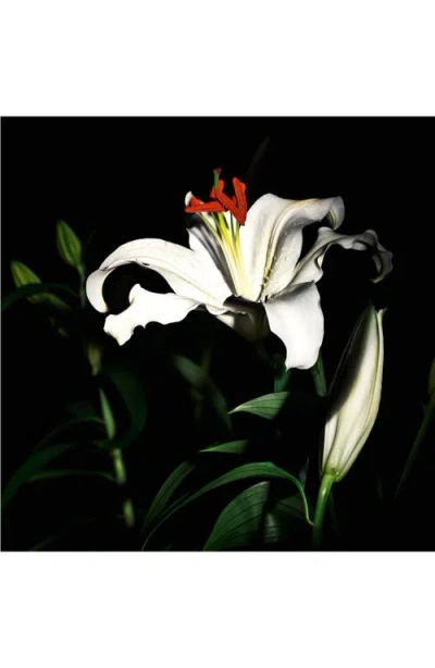 Saint Laurent Womens Le Vestiaire Des Parfums Capeline Eau De Parfum 125ml In Transparent