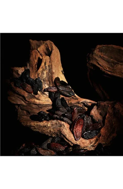 Saint Laurent Yves  Caban In Brown