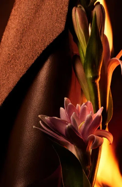 Bvlgari Man In Black Eau De Parfum 3.4 Oz. In Transparent