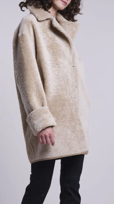 Blue Duck Genuine Shearling Coat In Multi