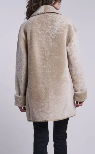 Blue Duck Genuine Shearling Coat In Multi