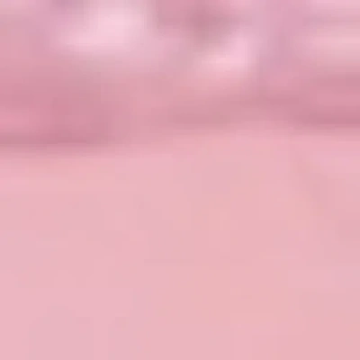 Hunkemoller Brazilian Diva Thong Shorts In Purple