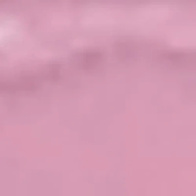 Hunkemoller Lola Thong In Purple