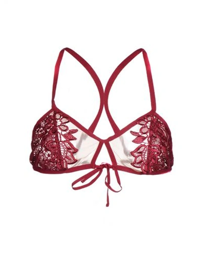 For Love & Lemons Bras In Garnet