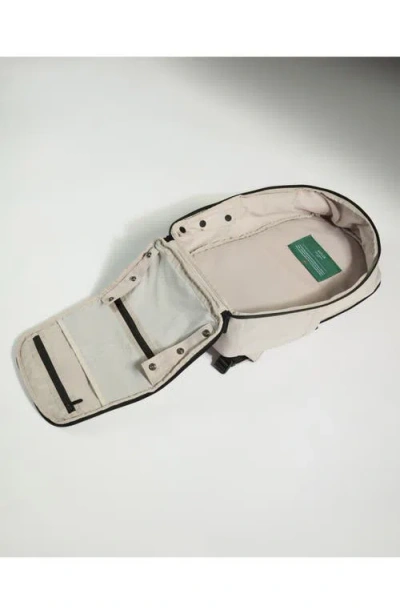 Antler Backpack In Brown