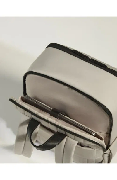 Antler Backpack In Brown