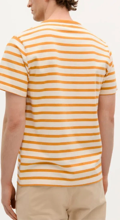 Scalpers Stripes Patch Tee In Orange
