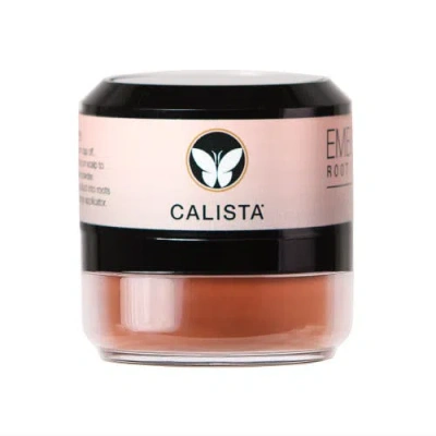 Calista Embellish Root Touch-up In Brown