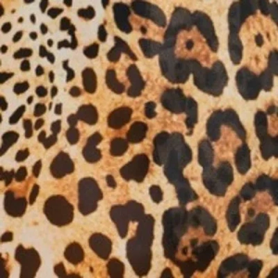 Fashion-szn Curve Curve Wrap Mesh Resort Playsuit In Brown