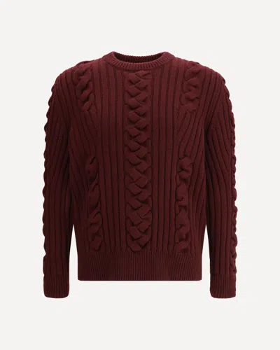 Alexander Mcqueen Alexander Mc Queen Wool Sweater In Burgundy