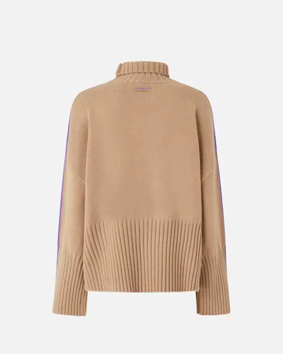 Pinko Pull Large À Col Montant In Brown