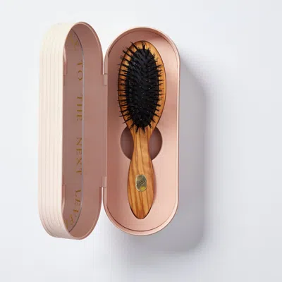 Altesse Studio Beaute Petite Repair & Shine Brush For Fine To Medium Hair