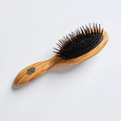 Altesse Studio Beaute Petite Repair & Shine Brush For Fine To Medium Hair