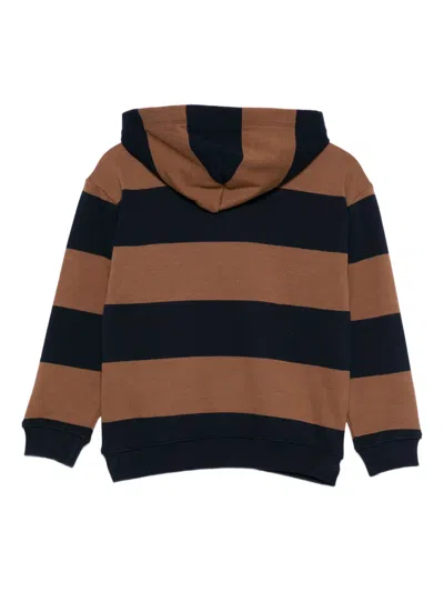 Tommy Hilfiger Junior Striped Hoodie In Multi