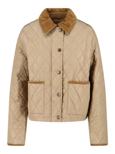Burberry Cropped Quilted Nylon Jacket In Brown