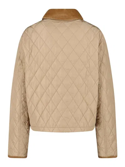 Burberry Cropped Quilted Nylon Jacket In Brown