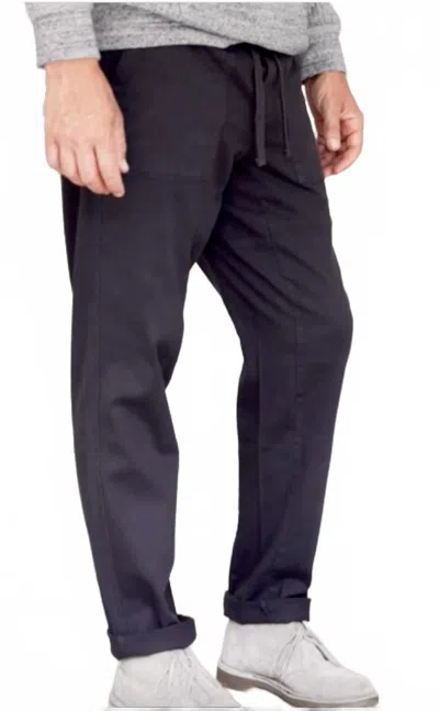Allview Furlough Pant In Vintage Black In Purple