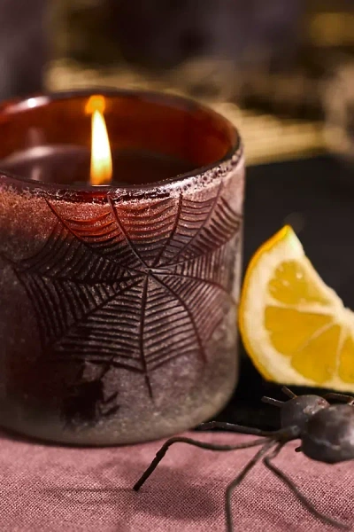 Terrain Frosted Spiderweb Candles, Set Of 6