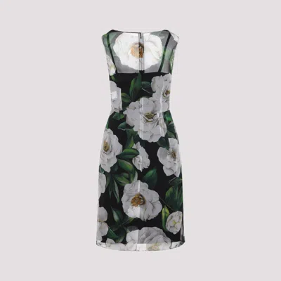 Dolce & Gabbana Midi Dress In Green