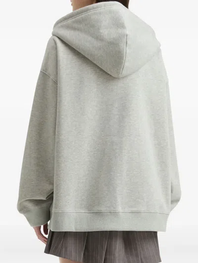 Tout A Coup Drawstring-hood Zip-up Hoodie In Gray