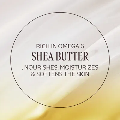 L'occitane - Advanced Immortelle Shea Hands + Body Duo 9.6 In Multi