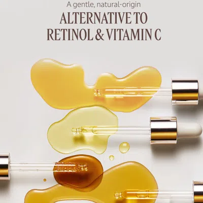 L'occitane - Immortelle Divine Collection 3.7 In Multi