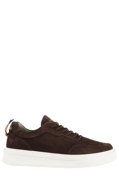 Barracuda Logo Sneakers In Brown