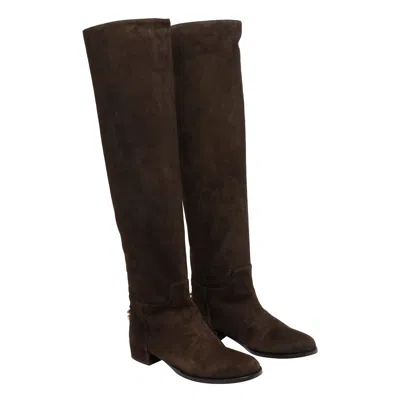 Dolce & Gabbana Dolce&gabbana High Suede Boot In Ebony Brown In Brown