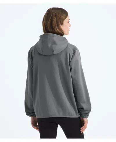 The North Face Performance Fleece Full Zip Hoodie Jacket In Gray