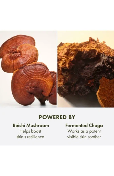 Origins Mega-mushroom Relief & Resilience Soothing Treatment Lotion In Green