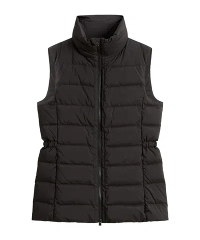 Woolrich Microfiber Padded Vest High Collar In Black