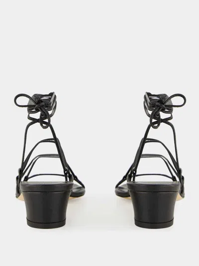 Manolo Blahnik Lace-up Block-heel Sandals In Multi