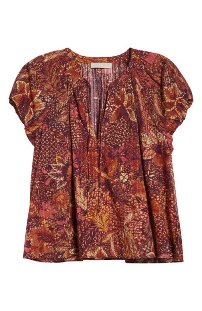 Ulla Johnson Issa Mixed Print Cotton Blend Top In Multi