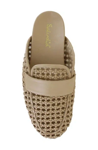Splendid Sandra Woven Mule In Brown