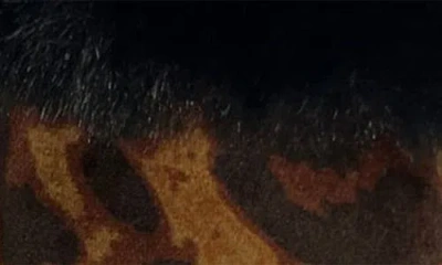 Marcus Adler Cheetah Print Velvet Gloves With Faux Fur Trim In Brown