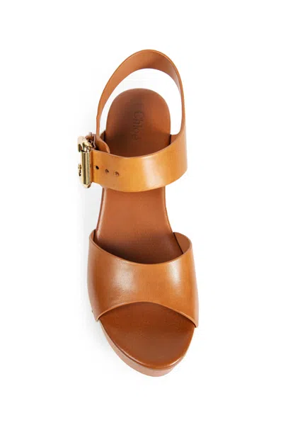 Chloé Jeannette Wedge Clogs In Brown