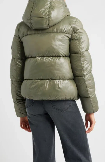 Save The Duck Biddy Water Repellent Hooded Puffer Jacket In Green