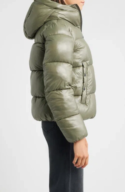 Save The Duck Biddy Water Repellent Hooded Puffer Jacket In Green