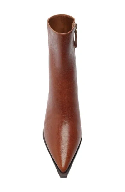 Alexandre Birman Myra Pointed Toe Kitten Heel Bootie In Brown
