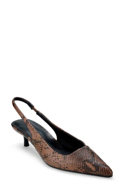 Yosi Samra Delilah Slingback Pointed Toe Kitten Heel Pump In Brown