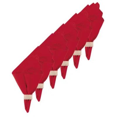 C & F Home C&f Home Red July Fourth Napkin Set Of 6 In Red